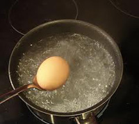 egg