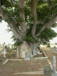 tomb