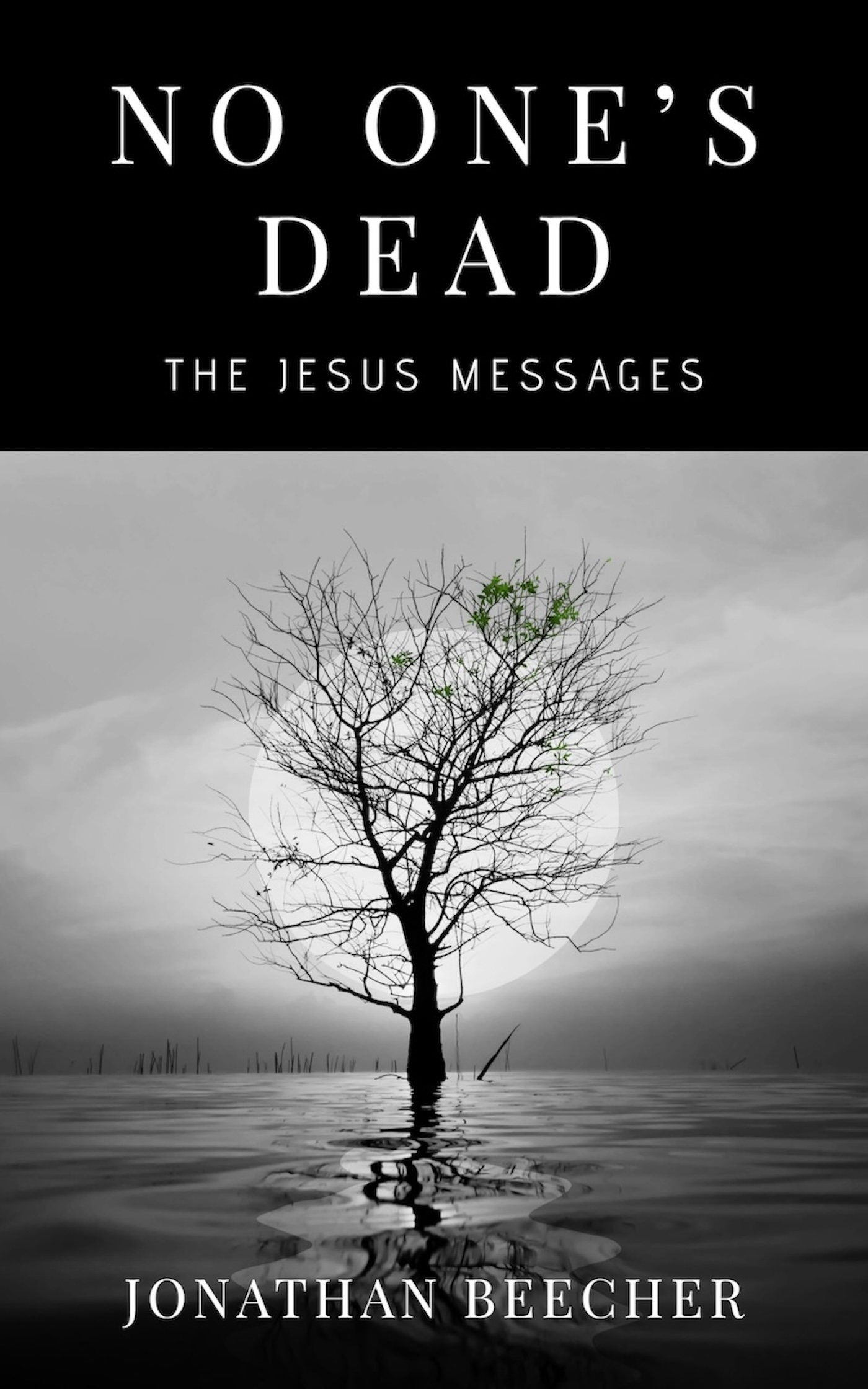 picture of "No One's Dead"